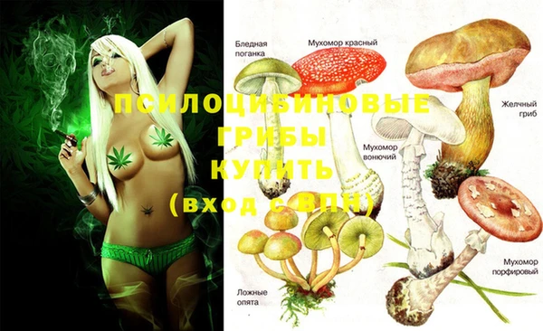 соль курить ск Алзамай