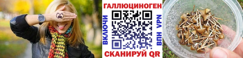 Псилоцибиновые грибы мицелий  Чишмы 
